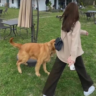我要为你呼吸